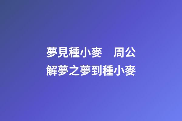 夢見種小麥　周公解夢之夢到種小麥